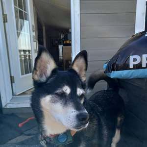 Meet your Posher, Christian